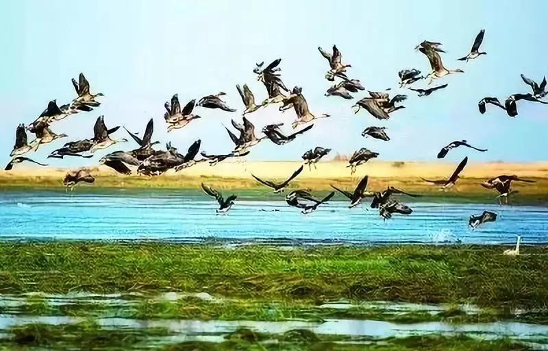 1572396096692748.jpg 02.jpg