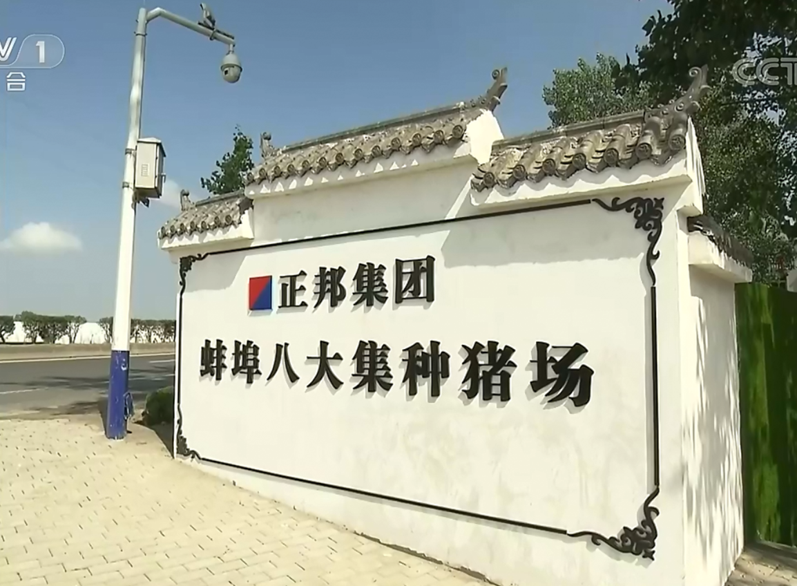 1592012861462639.png 07.png